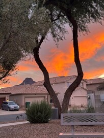 Walk thru the neighborhood