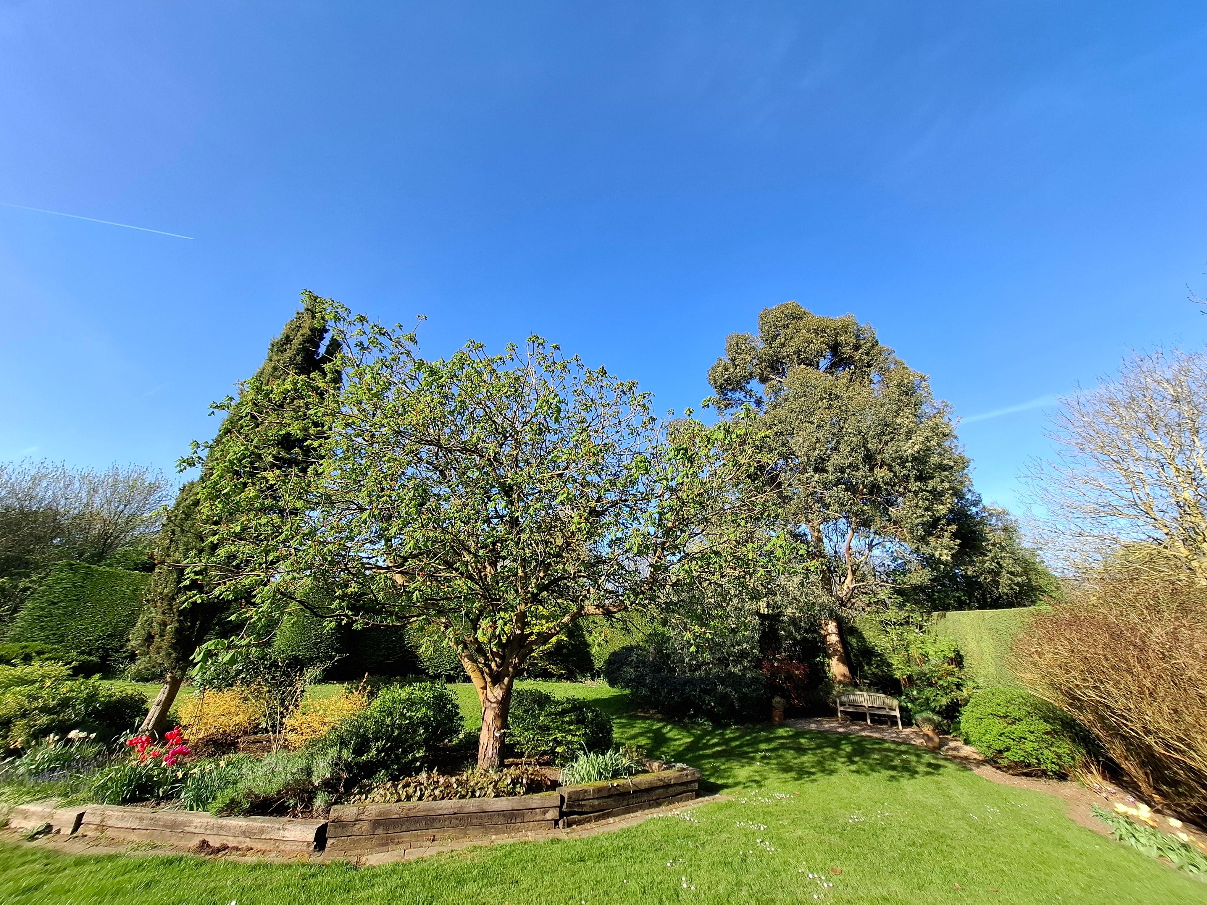 Blick von der Terrasse