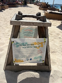 Very glad to see how serious the environment is treated. Sea turtle egg nest protection on the picture, on the beach outside the hotel.