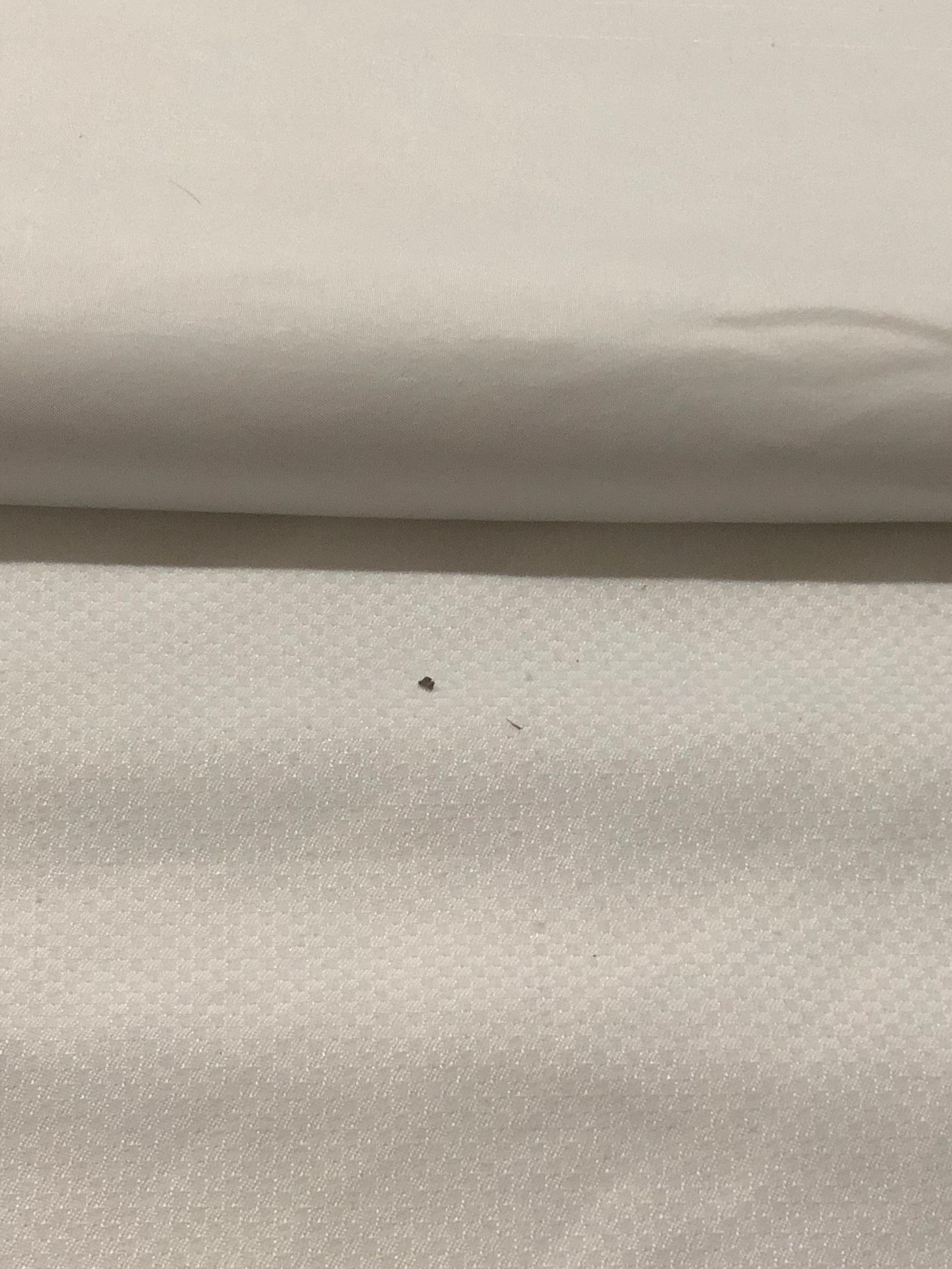 Dirt on bed