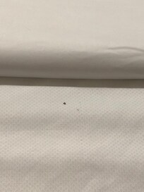 Dirt on bed
