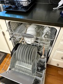 Clean dishes left in dishwasher