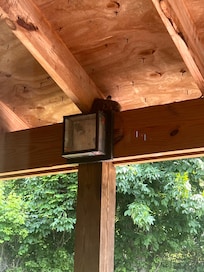 Little bird nest