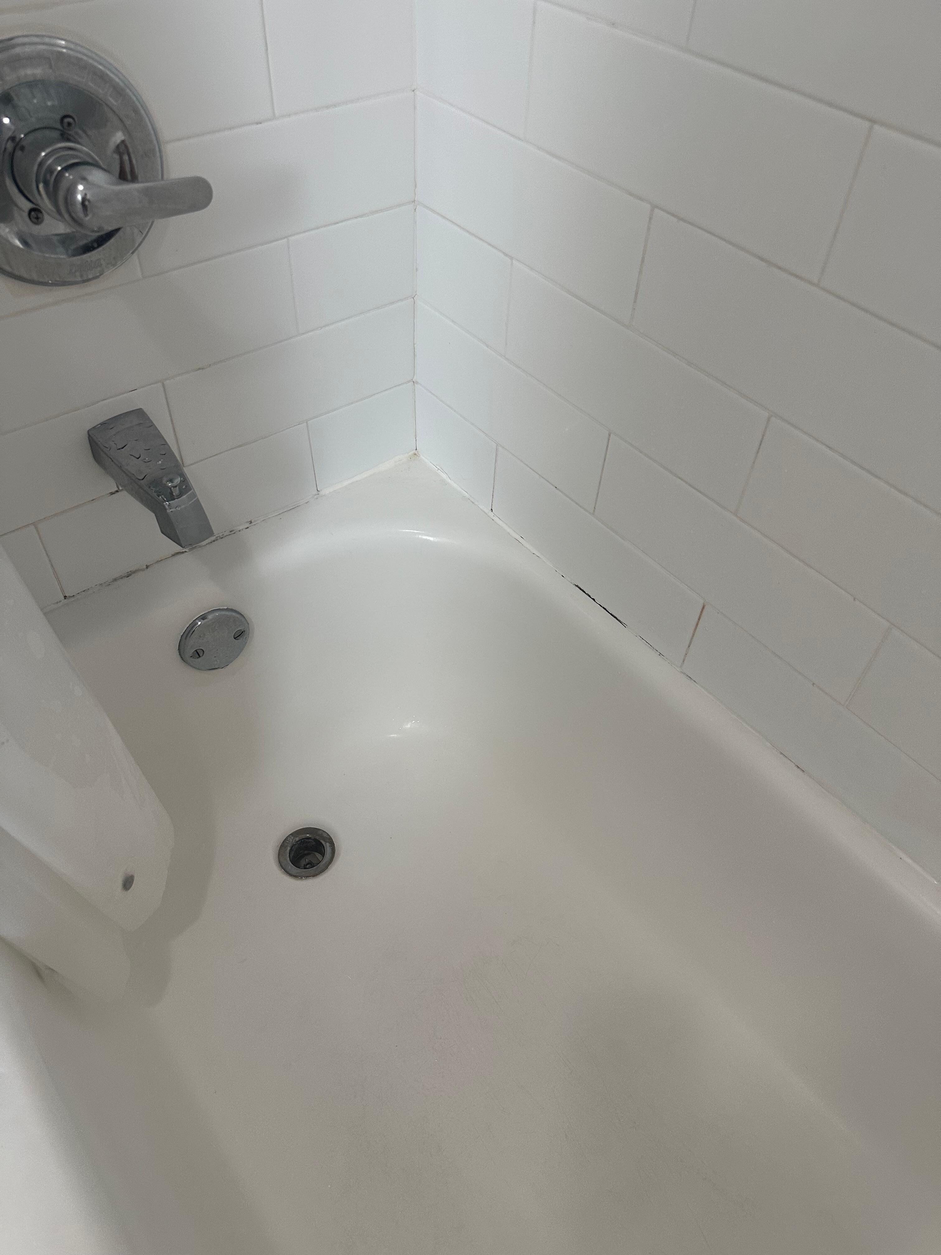 Condition and cleanliness of the tub/shower 
