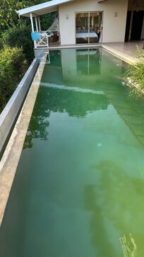 Green algae pool