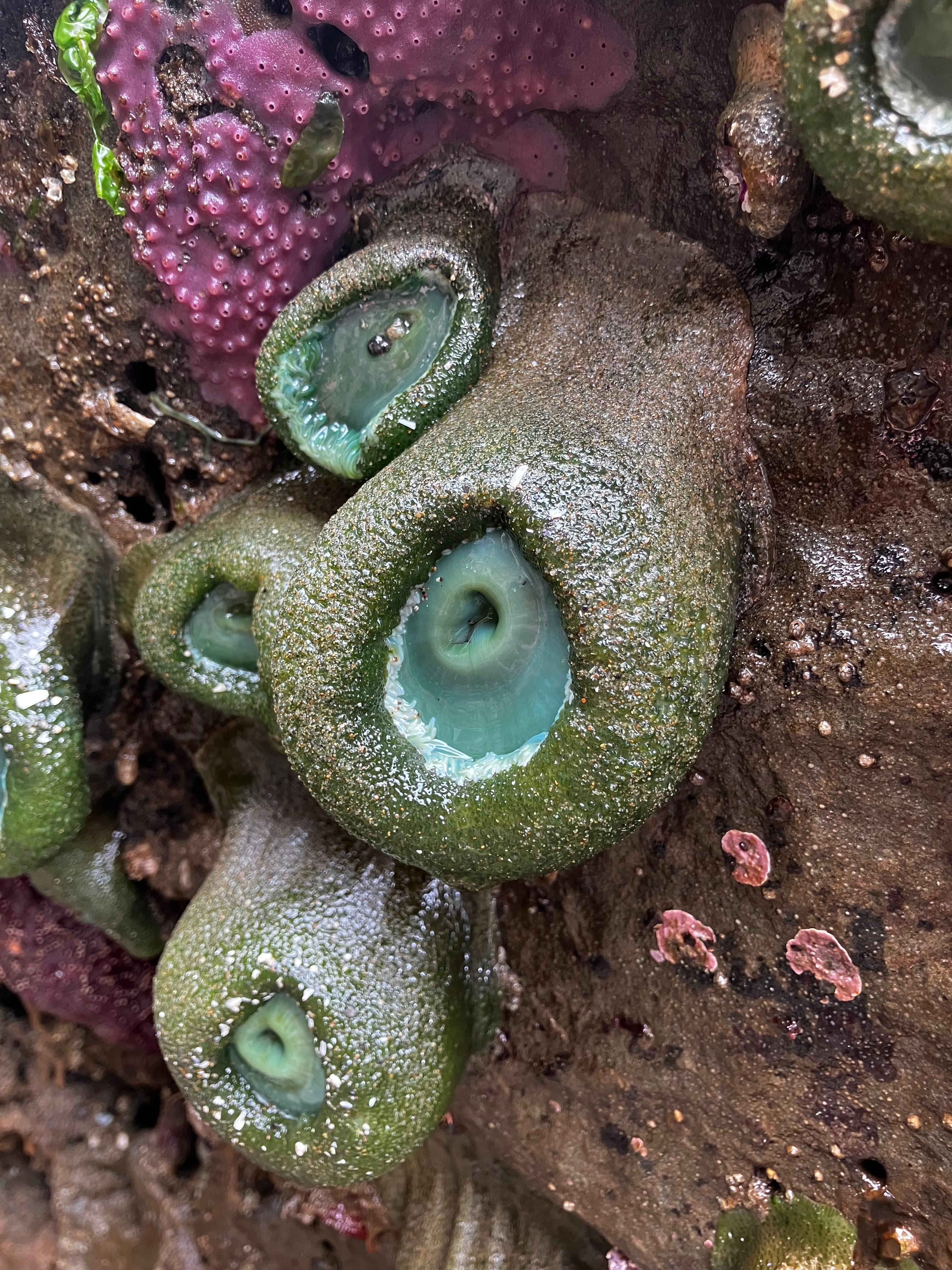 My son took this below Cape Kiwanda