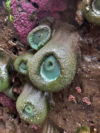 My son took this below Cape Kiwanda