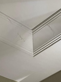 Cobwebs on ceiling