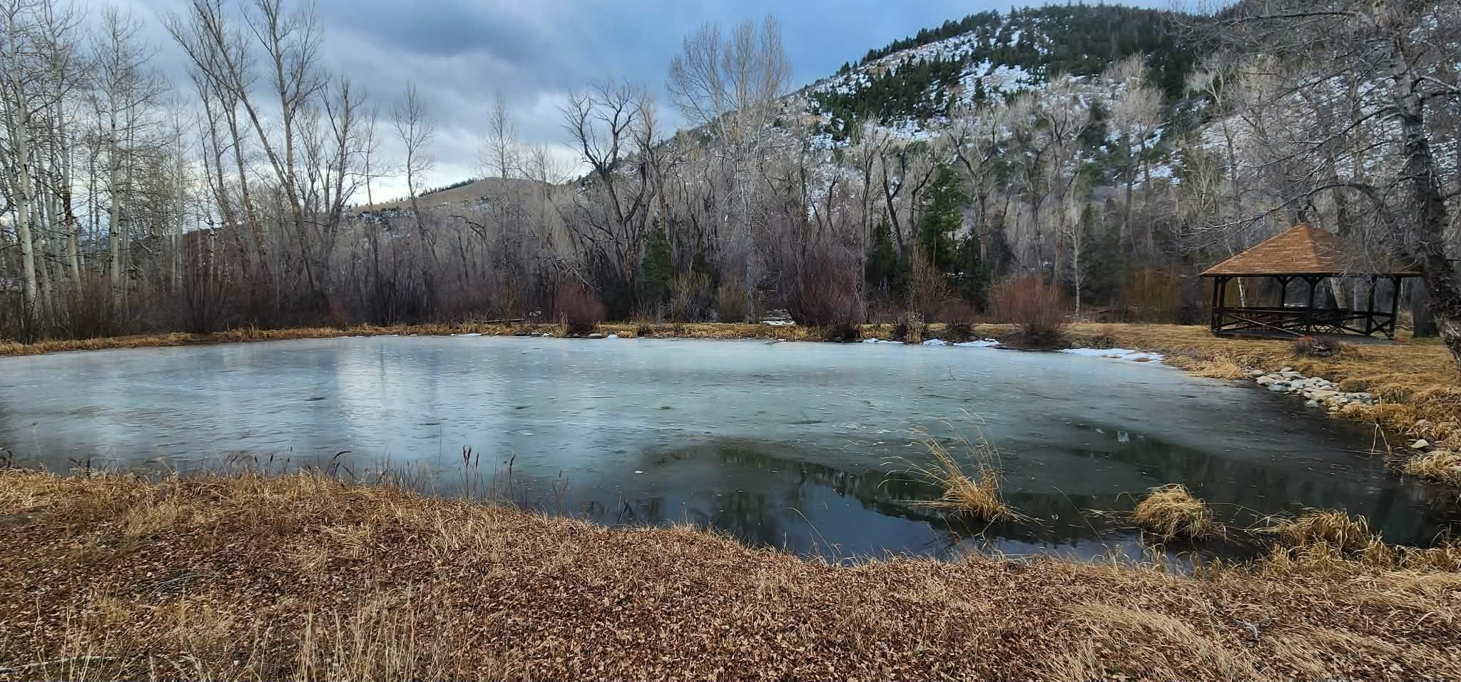 Small pong with gazebo
