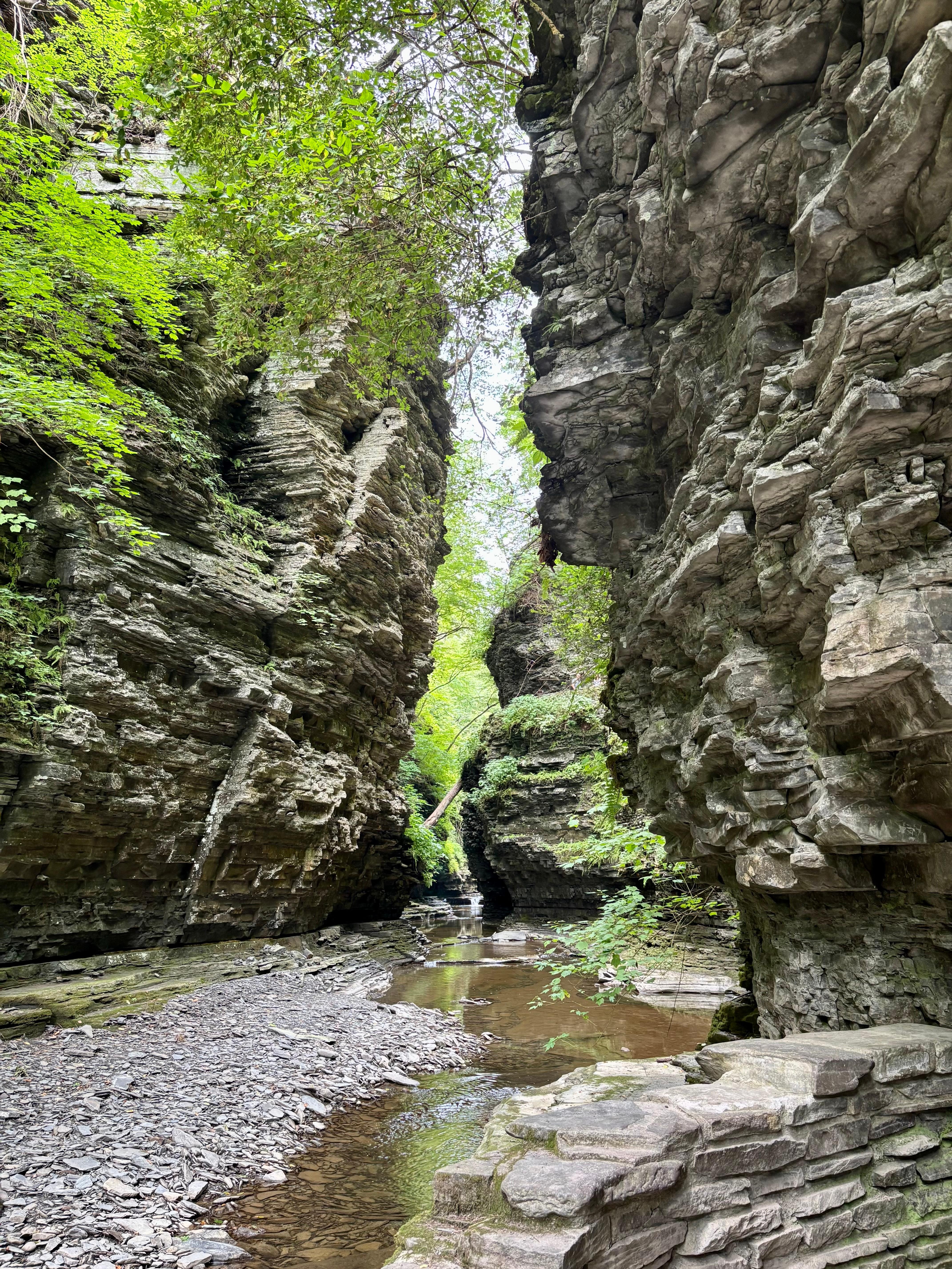 Watkins Glen state park 