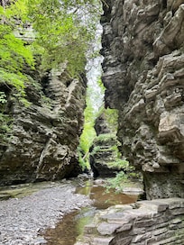 Watkins Glen state park