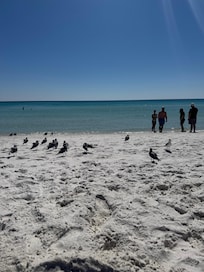 Day at Narvve beach