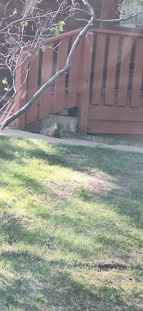 Wild life near by.