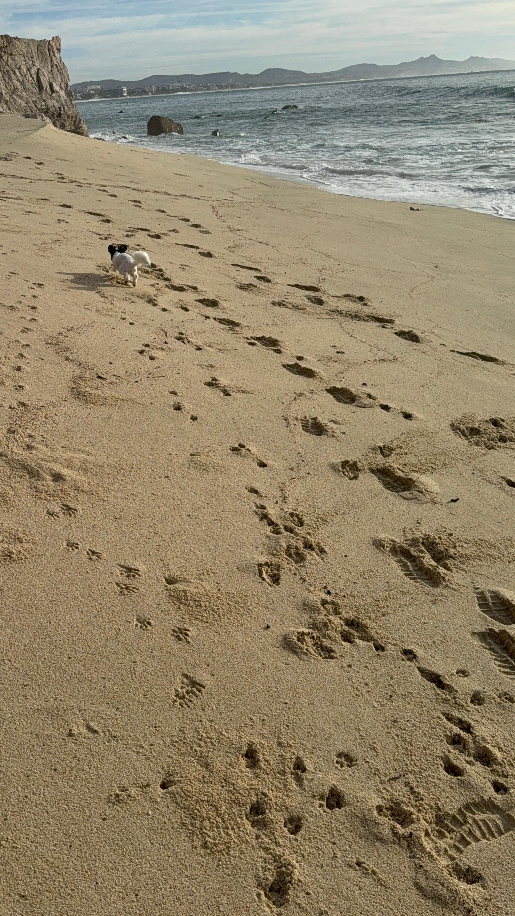 One of the beaches you can walk to. 