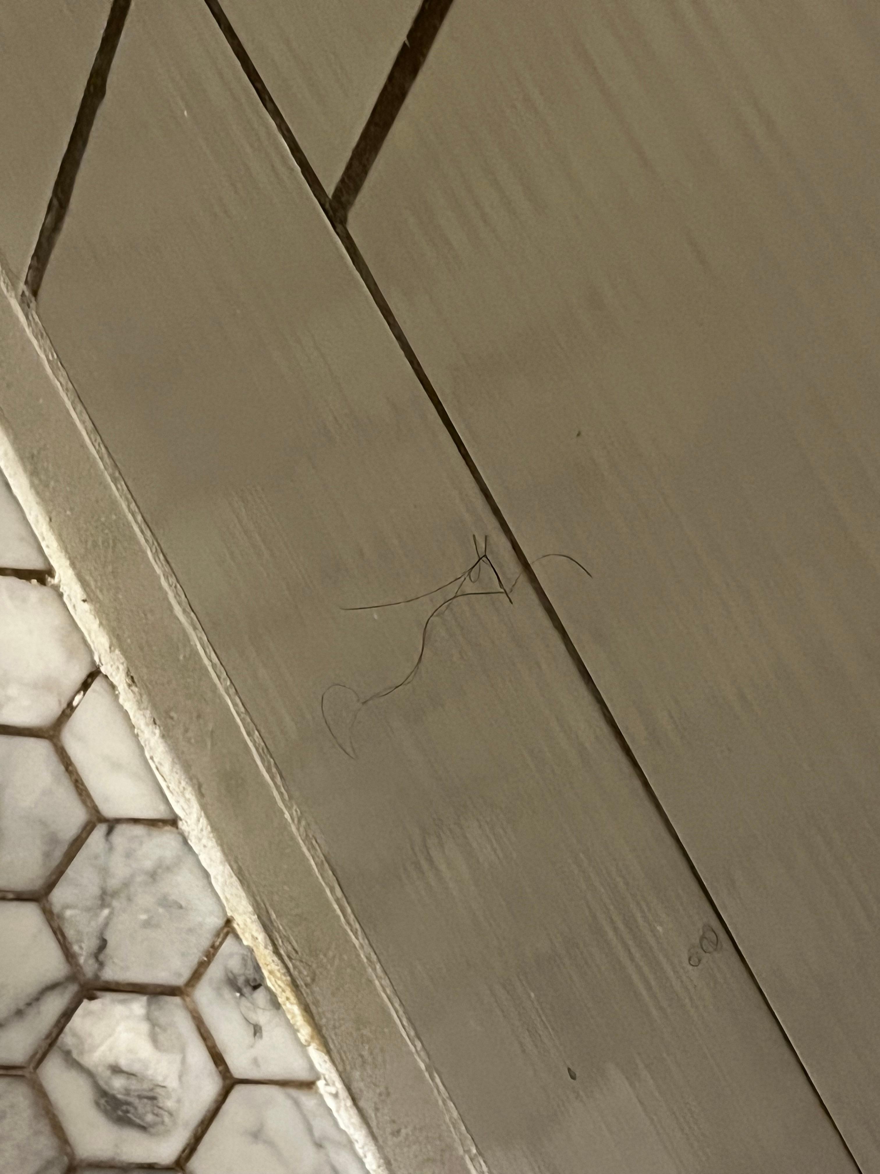 Hair on the bathroom walls from prior guest 