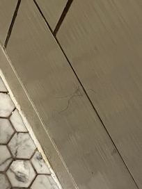Hair on the bathroom walls from prior guest