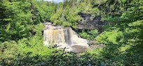 Blackwater falls