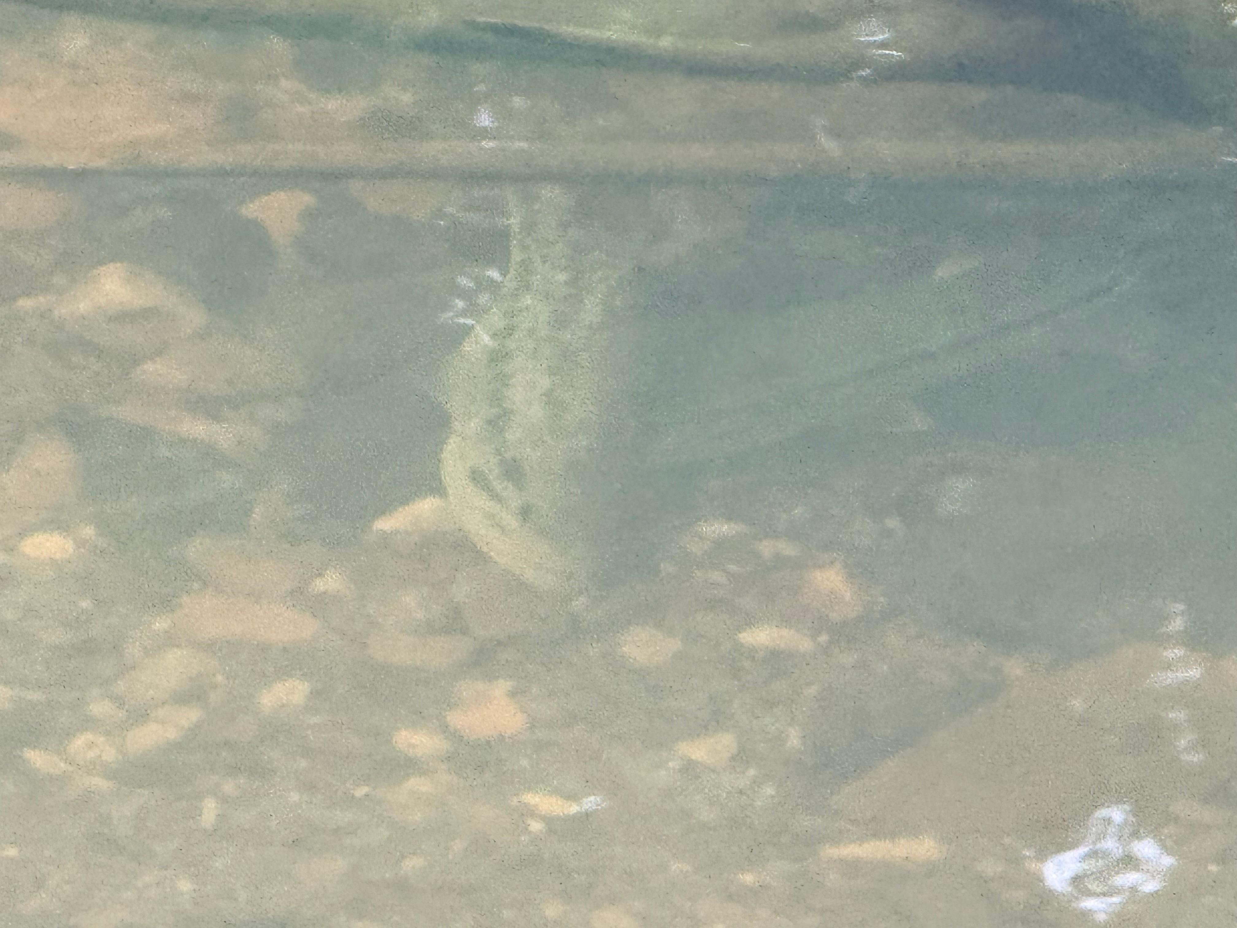 Bass in the swimming hole