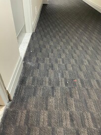 Hallway needs a vacuum desperately.