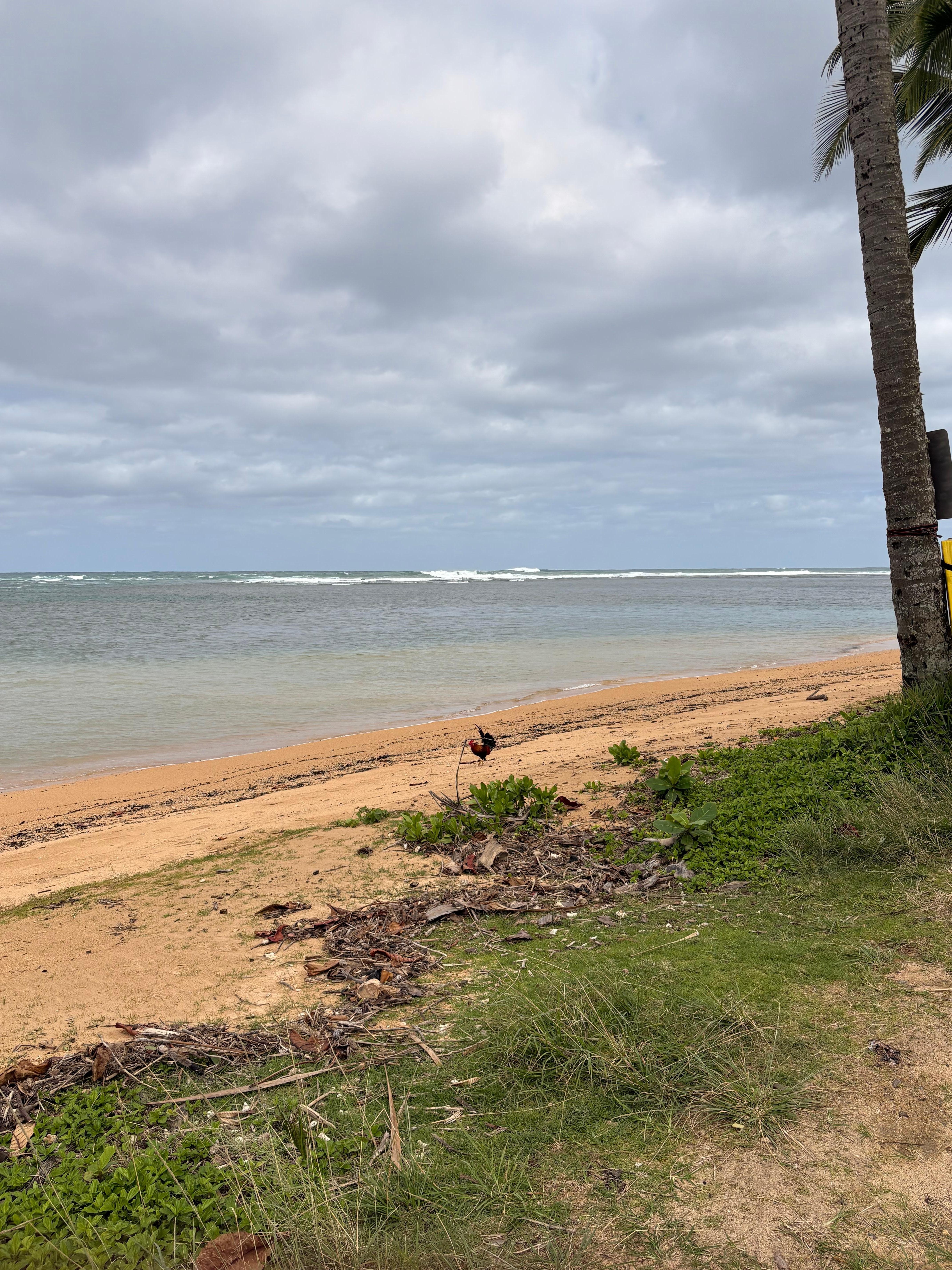 Beautiful Anini beach ❤️