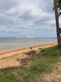 Beautiful Anini beach ❤️
