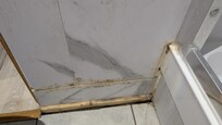 Mouldy