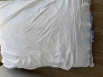 Pillow with mildew I forgot to mention the couches were dirty as well.