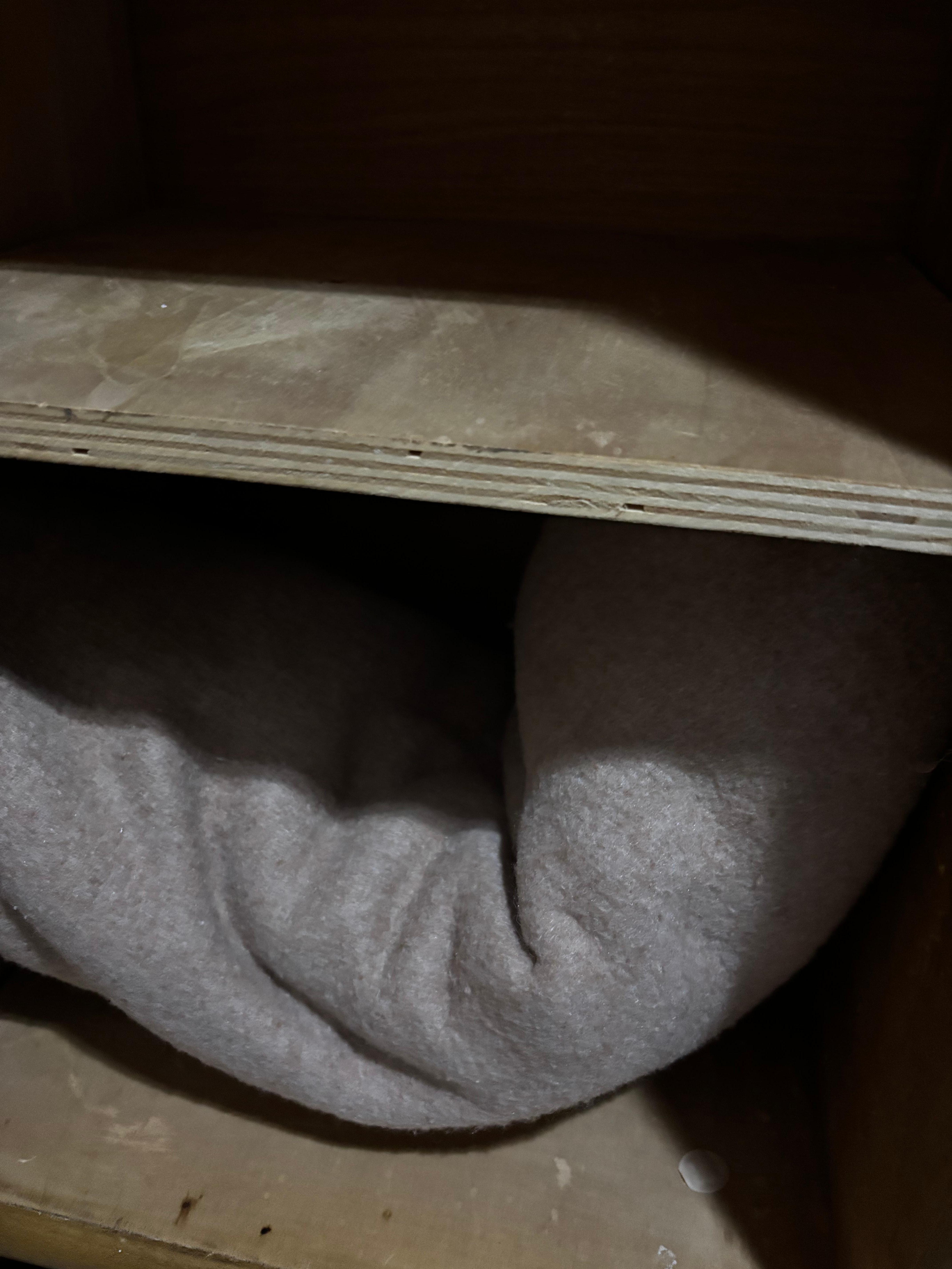 Tudo muito velho com cheiro de mofo