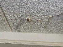 Wet molded ceiling