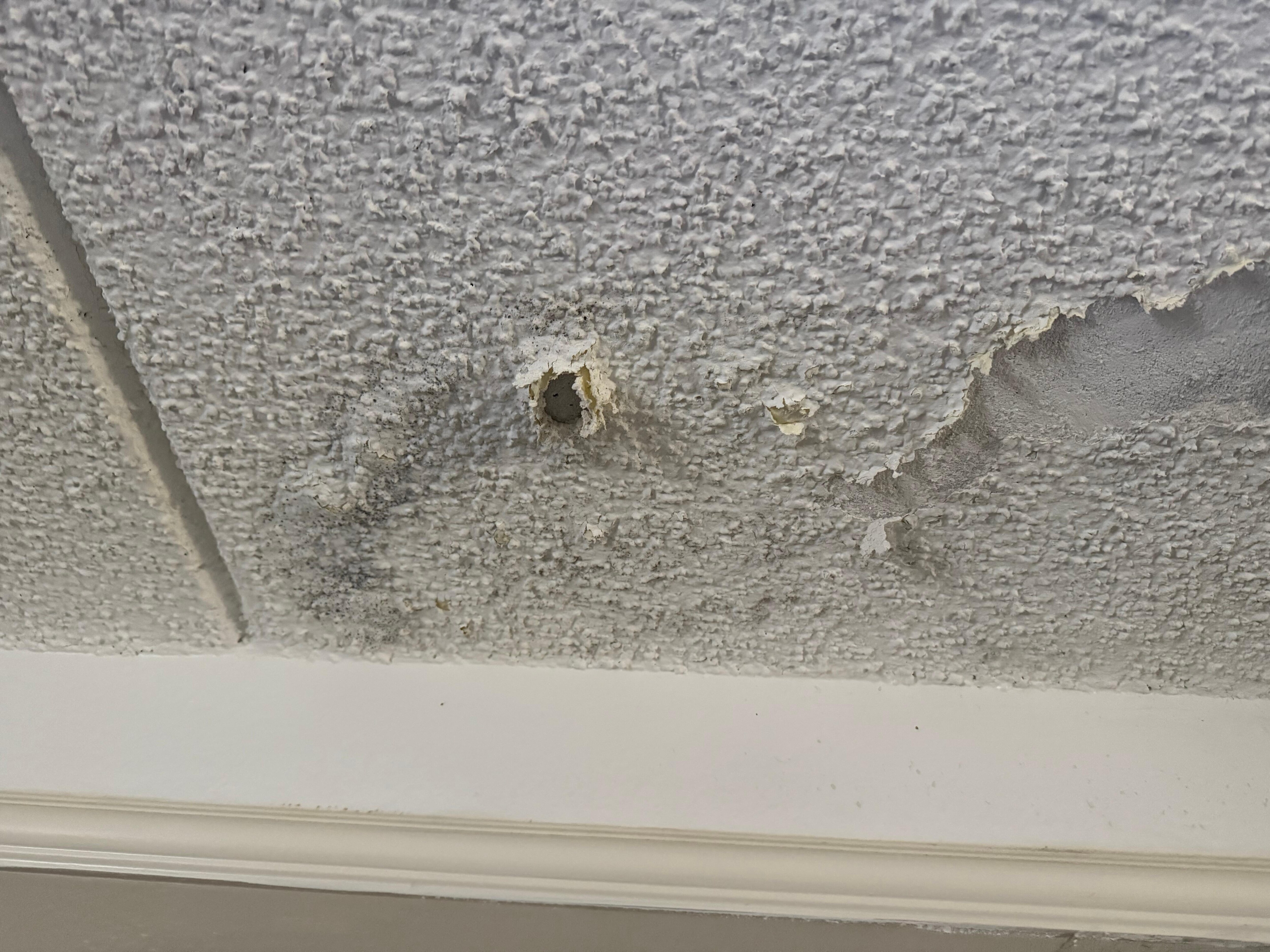 Wet molded ceiling 