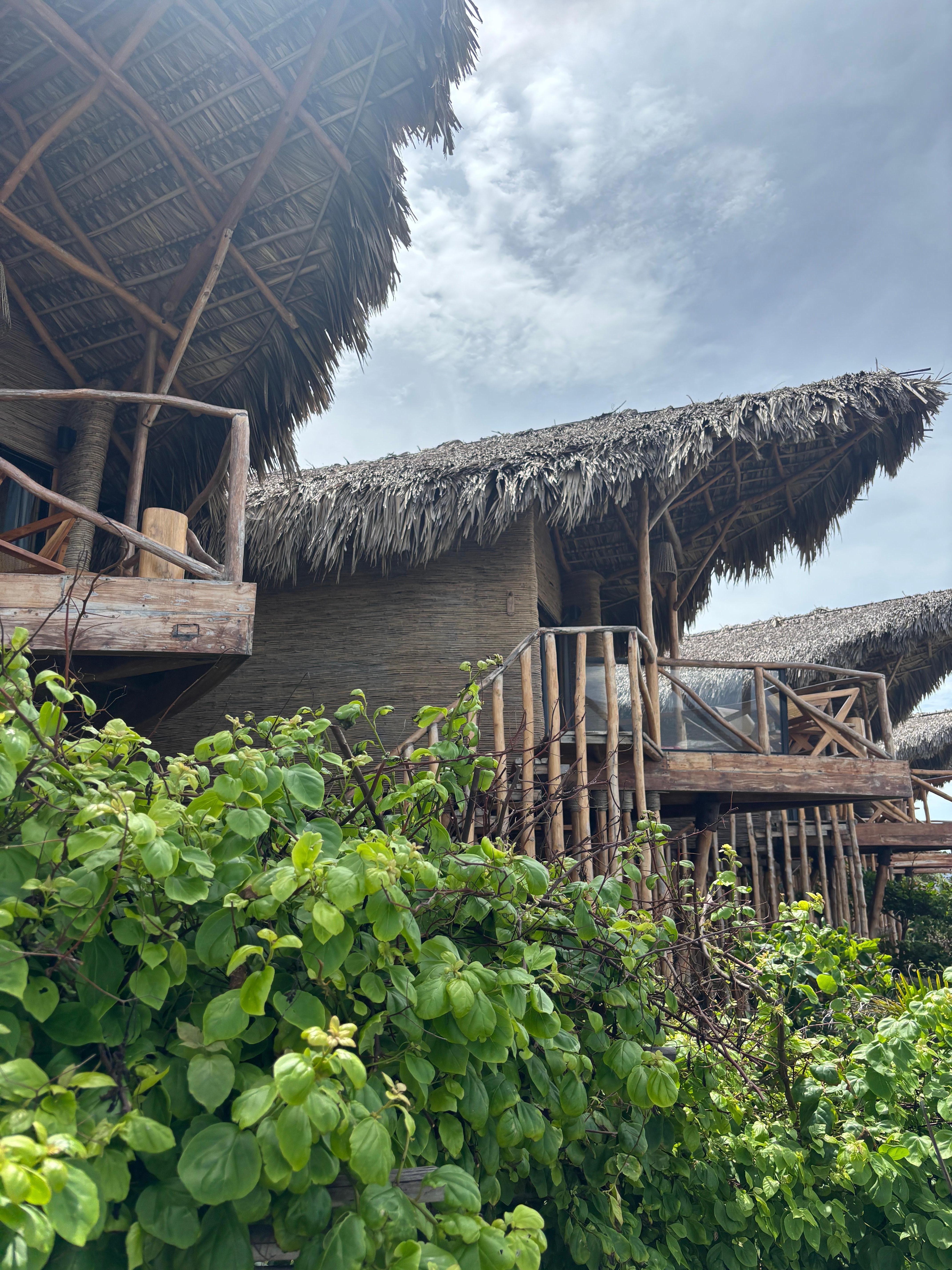 Beachfront Treehouses. Ocean view and jungle rooms is behind these. 