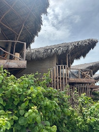 Beachfront Treehouses. Ocean view and jungle rooms is behind these.