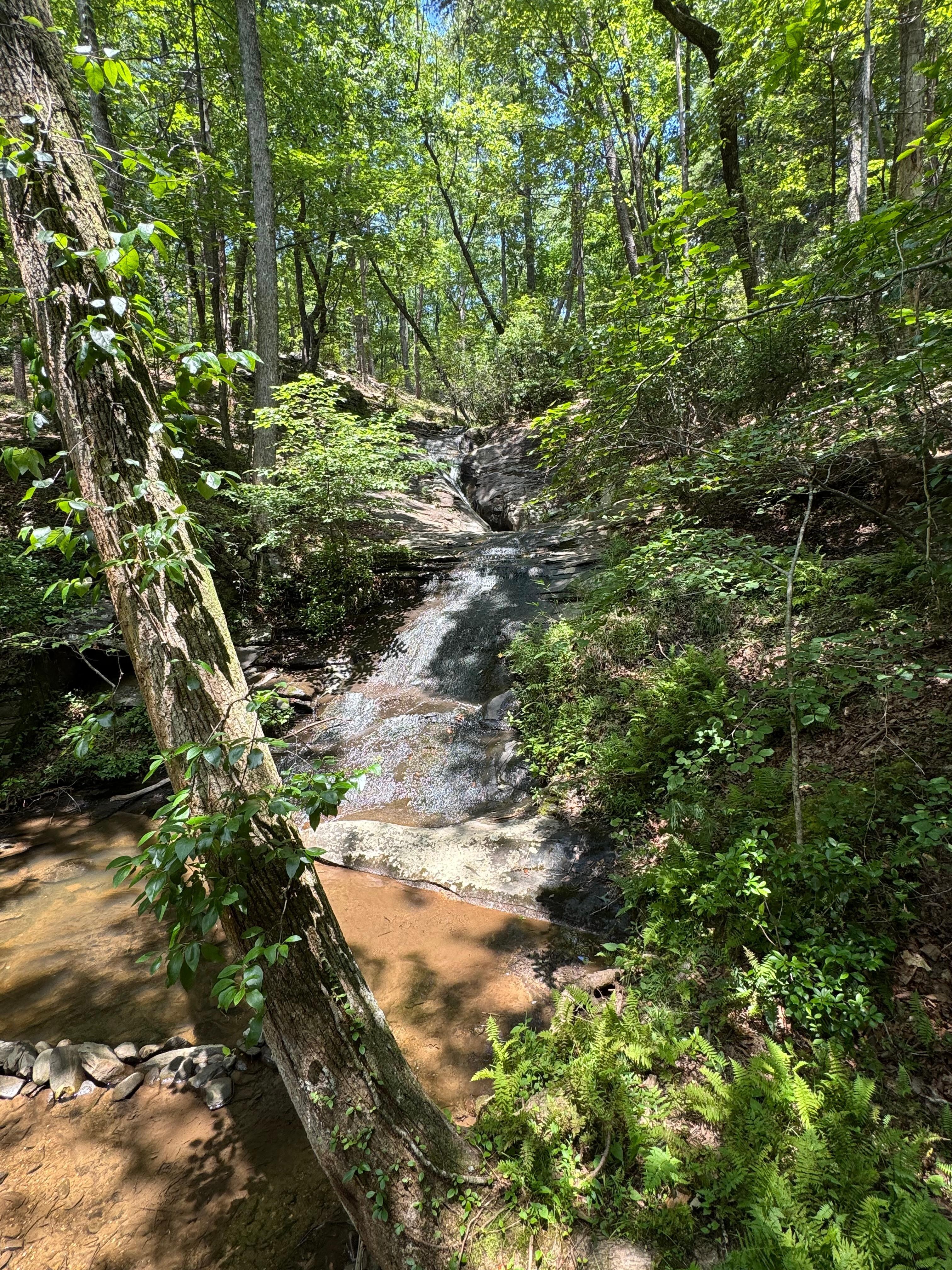 Top of the jeep trail
