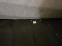 Under pull out bed