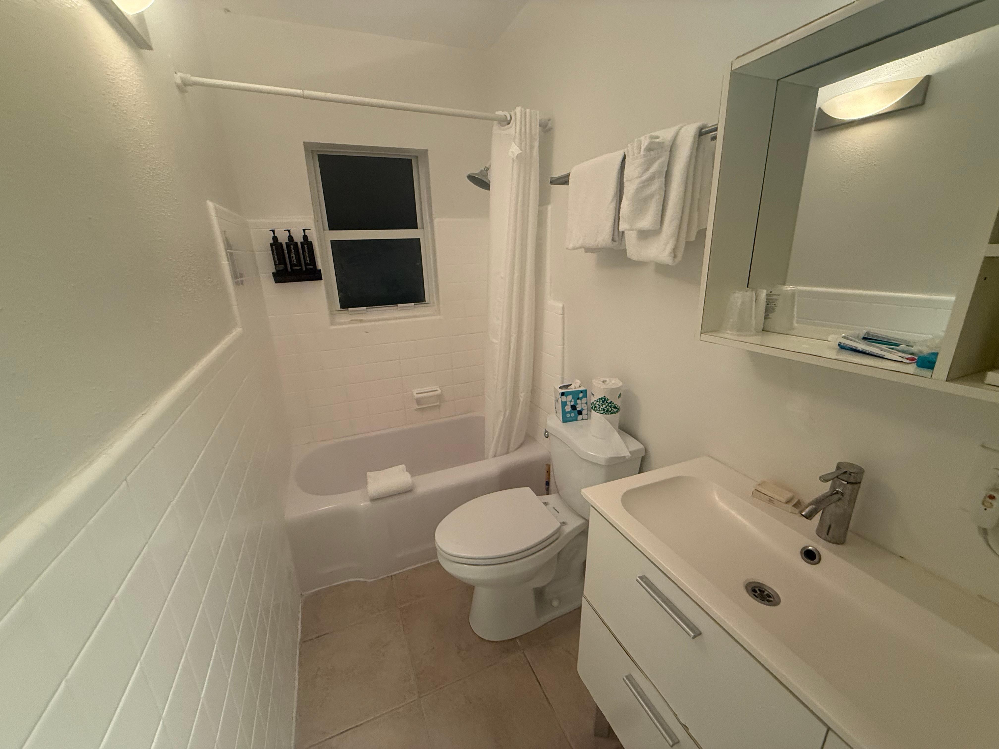 Decent bathroom. Water pressure was good.