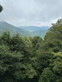 Looking off the back porch.