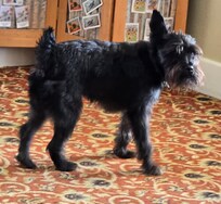 Winston, the greeter
