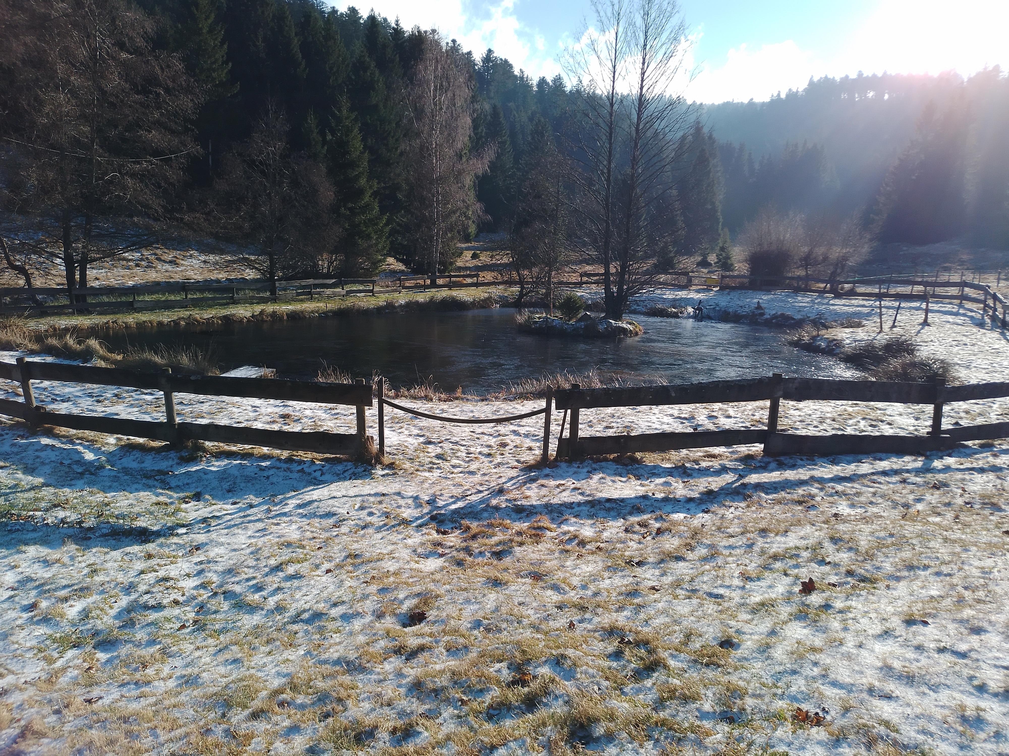 Vue de l'appartement. 