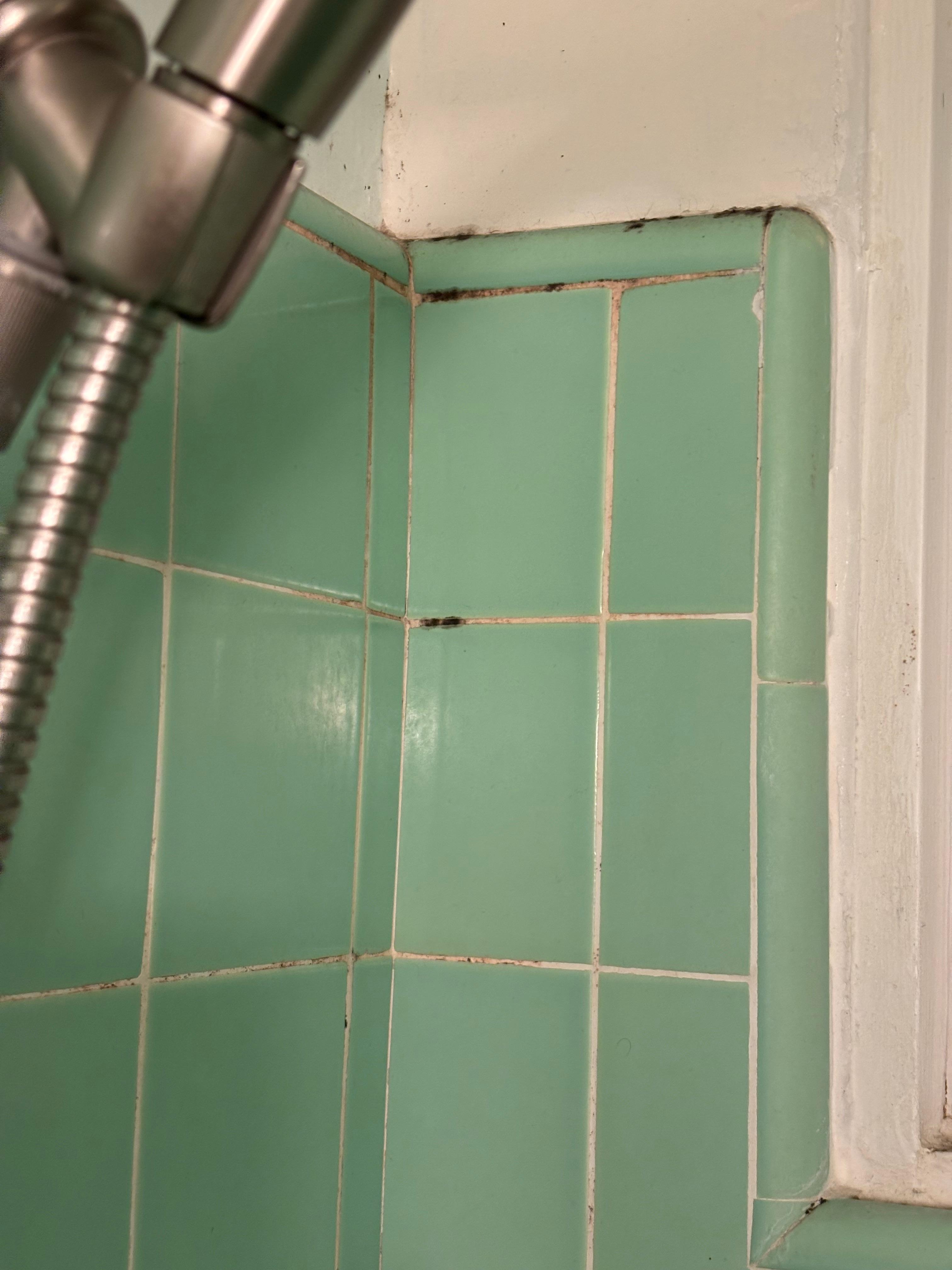 Mold throughout shower