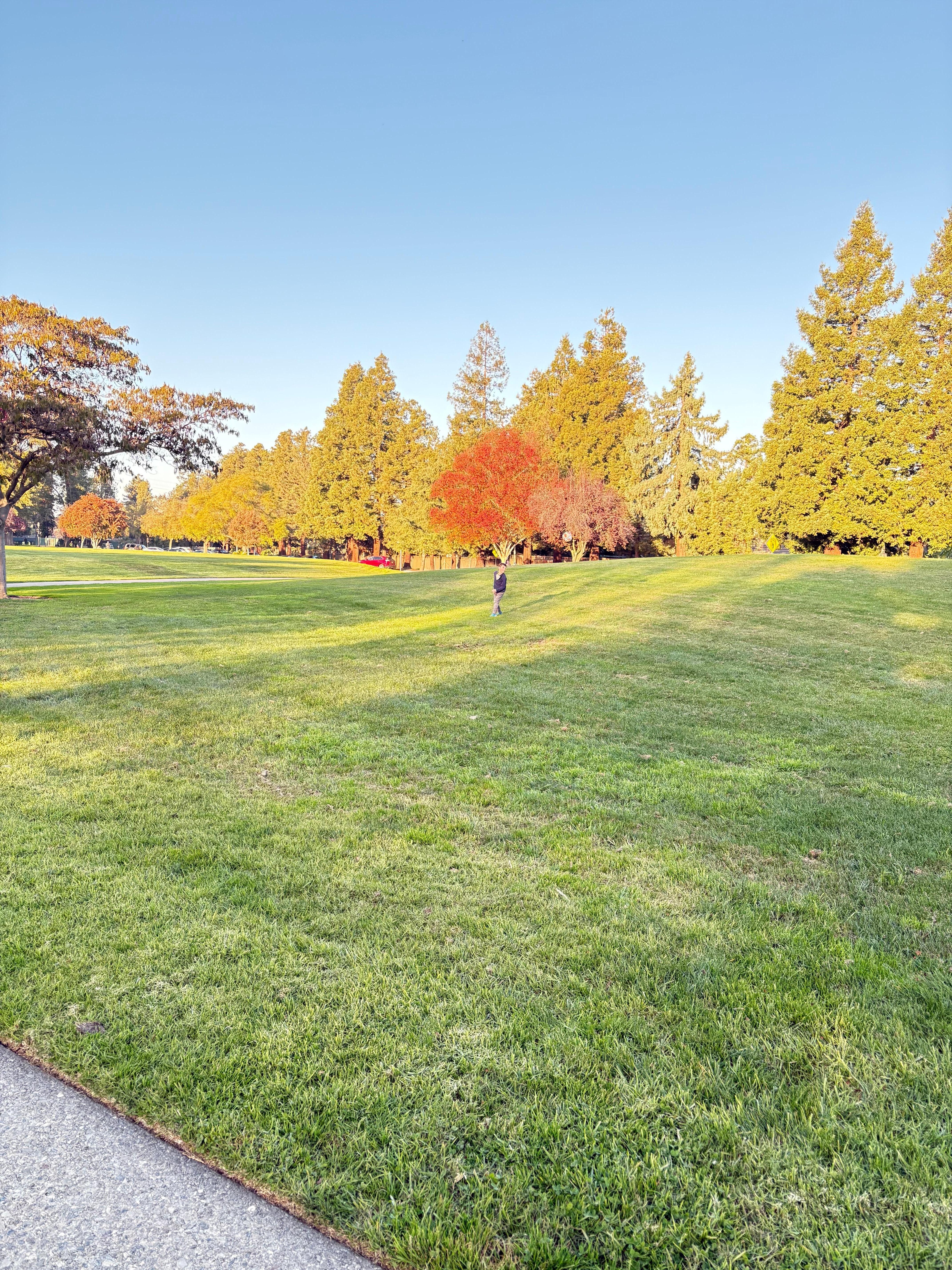Beautiful park less than half a block away. 