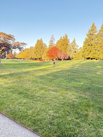 Beautiful park less than half a block away.