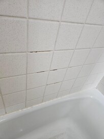 Mold on the grout