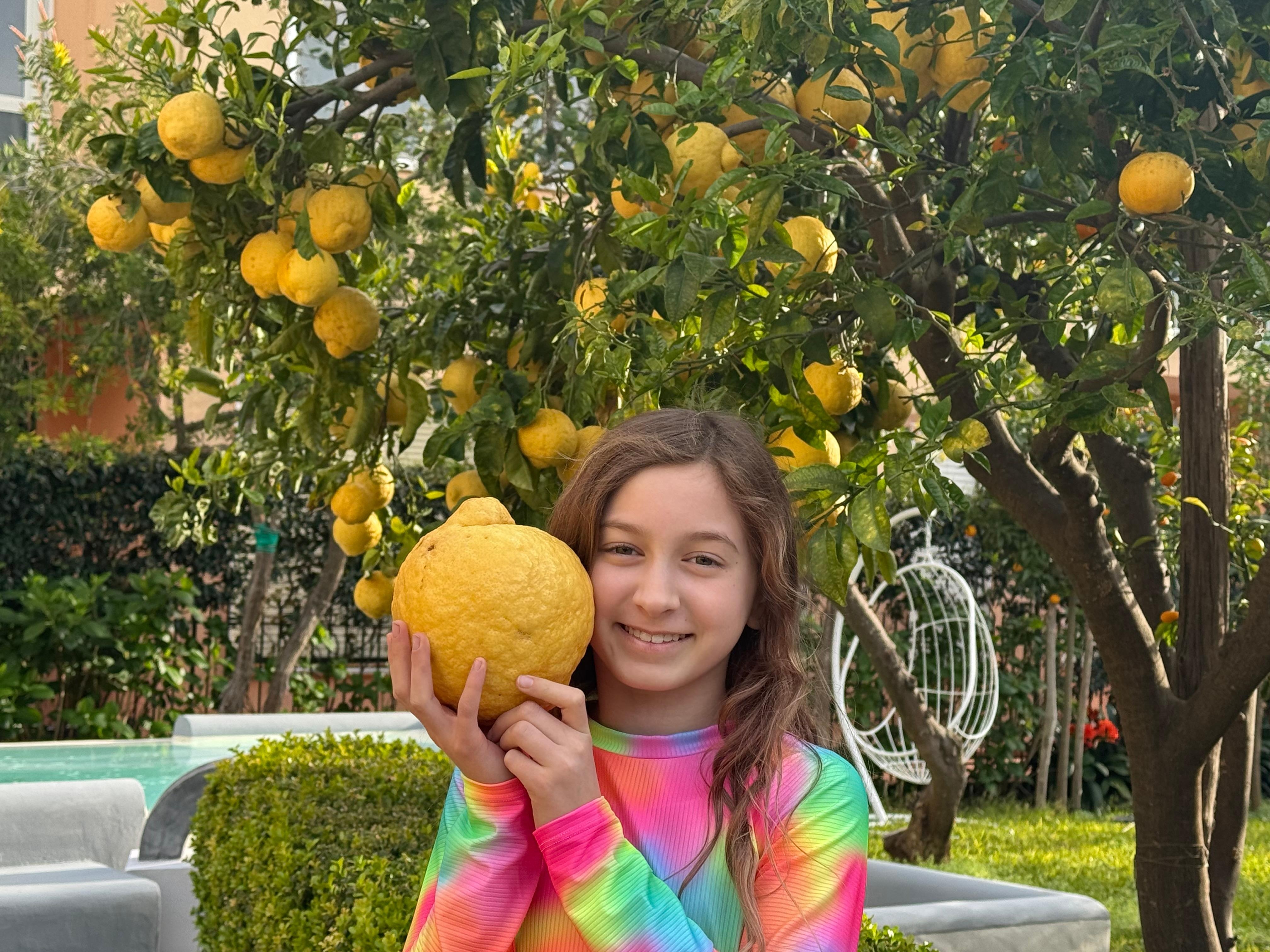 Lemon tree near the pool.