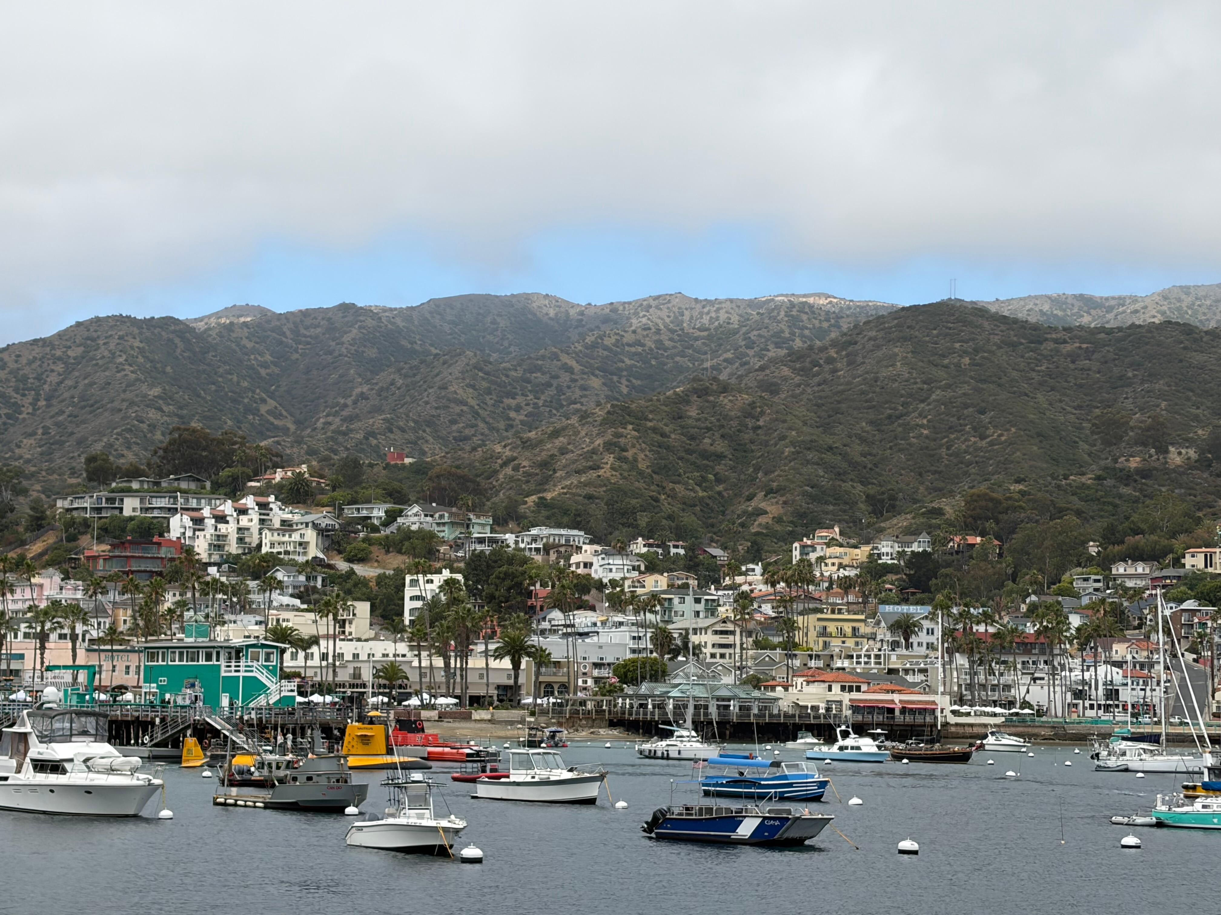 Avalon harbor and town