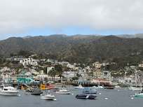 Avalon harbor and town