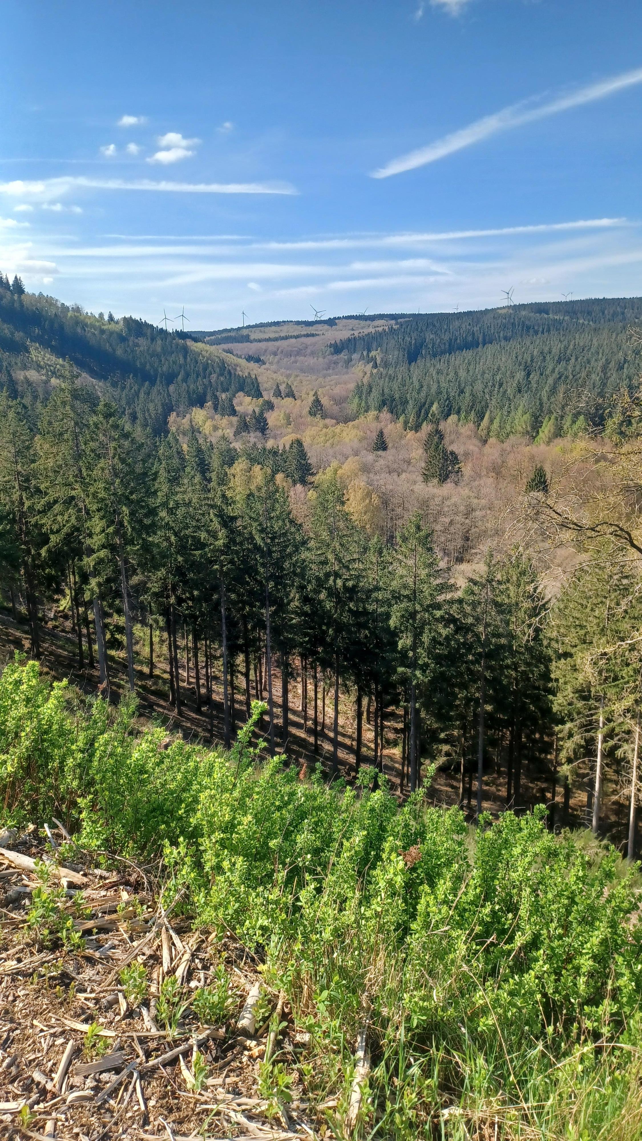 Fahrradtour bei schönstem Aprilwetter