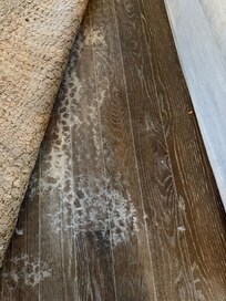 Sand/debris under area rug in living area.