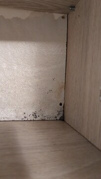 Mildew