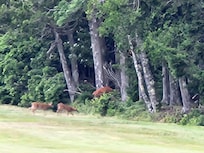Grindstone Golf