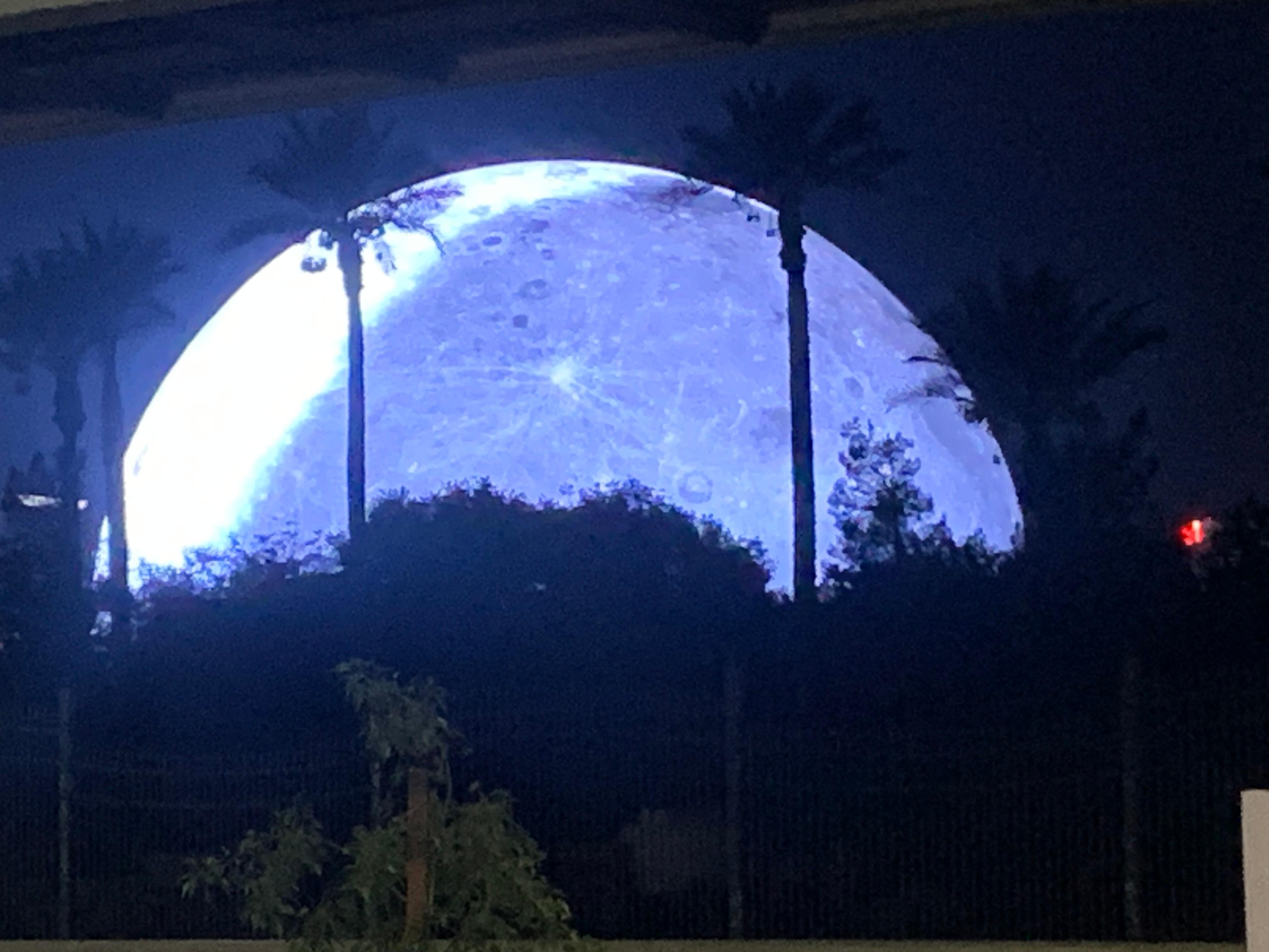 The Sphere from the front of the hotel as we waited for the taxi at 5:00 am.